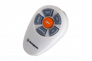 Westinghouse Cascata 72024