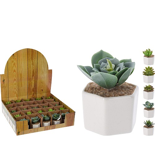 Φυτό Τεχνητό ArteLibre Σε Κεραμικό Γλάστρακι Λευκό PP/Foam Σε 5 Συνδυασμούς 06350664