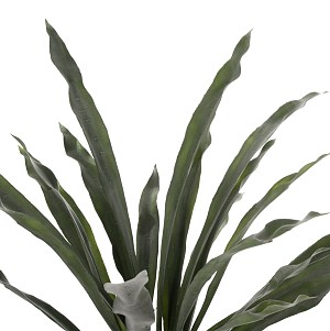 B2bmarkt ΔΙΑΚΟΣΜΗΤΙΚΟ ΣΥΝΘΕΤΙΚΟ ΦΥΤΟ HM7975 ΑΣΠΛΕΝΙΟ (ΦΥΛΛΙΤΗΣ Ή ΦΤΕΡΗ) ΣΕ ΓΛΑΣΤΡΑ 137Υεκ.