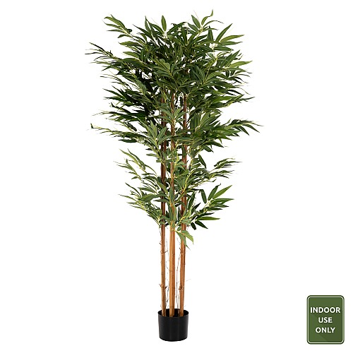 B2bmarkt ΔΙΑΚΟΣΜΗΤΙΚΟ ΣΥΝΘΕΤΙΚΟ ΦΥΤΟ HM4004 BAMBOO ΣΕ ΓΛΑΣΤΡΑ 180Υεκ.