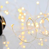 EUROLAMP ΣΕΙΡΑ, 100 ΜΙΝΙ LED, ΜΕΤΑΣΧΗΜΑΤΙΣΤΗ, 8 ΠΡΟΓΡΑΜΜΑΤΑ & ΜΝΗΜΗ, ΜΠΡΟΝΖΕ ΧΑΛΚΙΝΟ ΚΑΛΩΔΙΟ, ΘΕΡΜΟ ΛΕΥΚΟ LED ANA 10cm, ΠΡΟΕΚΤΑΣΗ ΠΑΡΟΧΗΣ 5m, ΙΡ44 600-11741