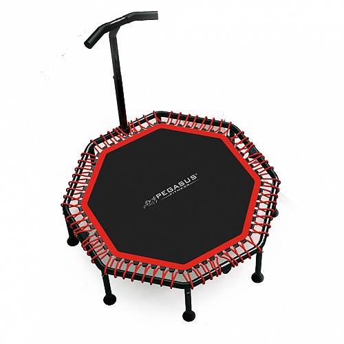 Pegasus®  Pegasus® Οκτάγωνο τραμπολίνο με Λαβή 48 (122cm) Β 4503-A