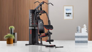 Pegasus&reg;  Πολυόργανο Pegasus® MS-600 Λ-5210