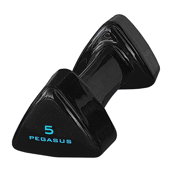 Pegasus&reg;  Pegasus® Τρίγωνος Αλτήρας Vinyl 5kg PG-1005 393600505