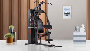 Pegasus&reg;  Πολυόργανο Pegasus® MS-600 Λ-5210